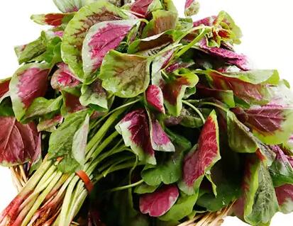 臺膳飲食建議:夏天應多吃這些補氣