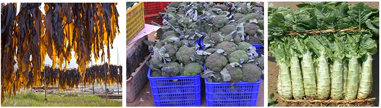 食堂蔬菜,食堂青菜,飯堂蔬菜,飯堂青菜